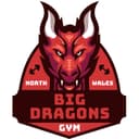 Big Dragons Gym