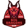 Big Dragons Gym crest logo